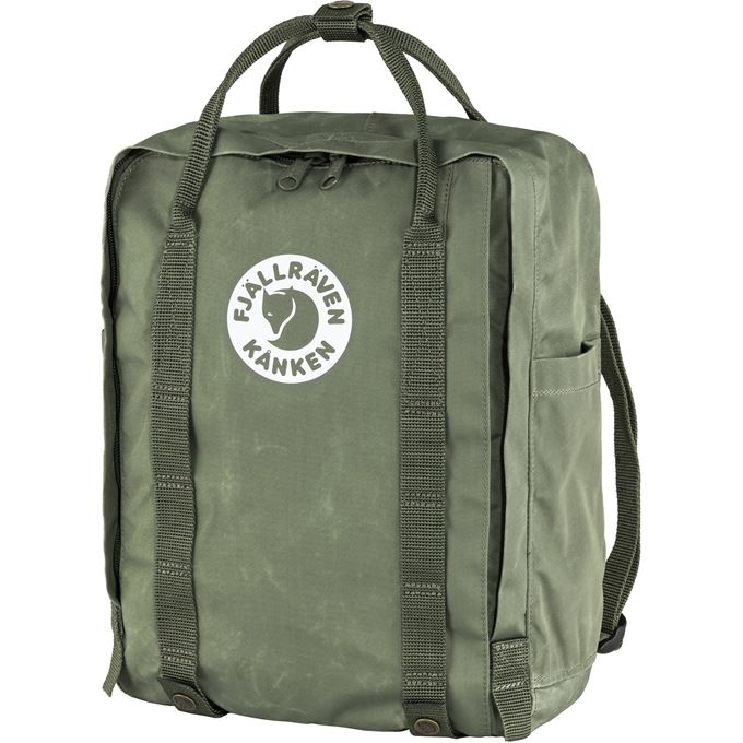 FJALLRAVEN Tree Kanken Backpack LICHEN GREEN Blue Birch Outfitters